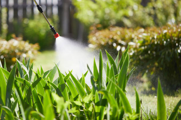 Tamper-Resistant Bait Stations for Rodents in Mascoutah
