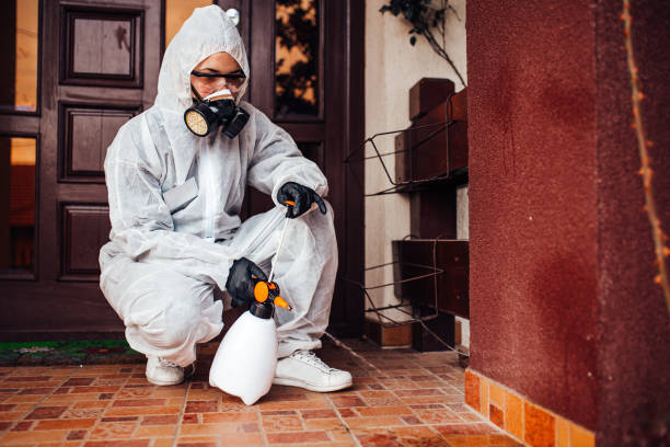 Attic and Crawl Space Rodent Treatment in Mascoutah