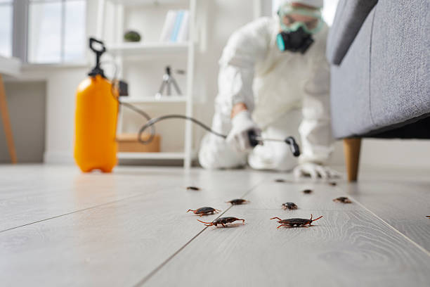 Commercial Rodent Management in Mascoutah